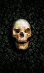 pic for skull 480x800